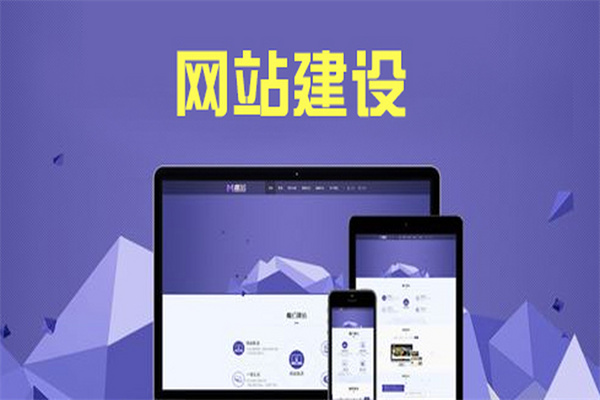  Xinjiang Website Construction Company